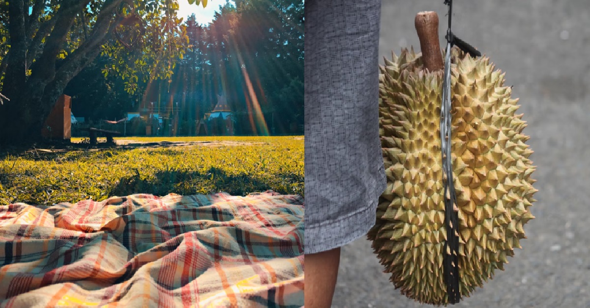 GUY TELLS GIRL HE WILL SETTLE FOOD FOR PICNIC DATE, THEN BRINGS DURIANS