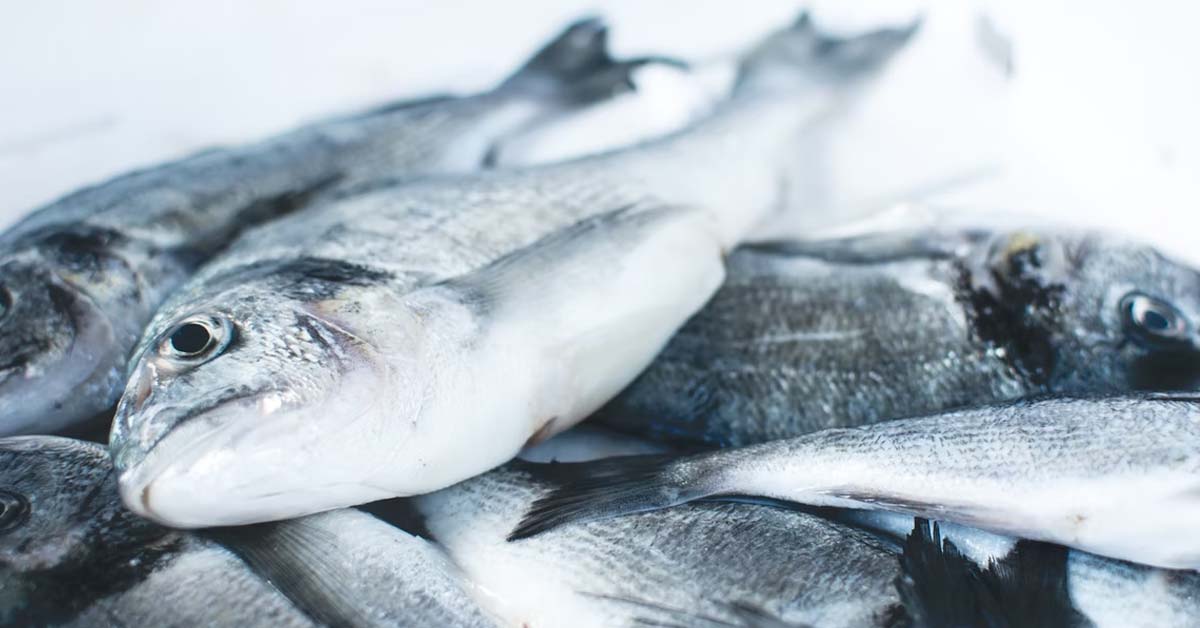 BLAME GAME: “BF MAKES MY HOLE SMELL LIKE FISH”