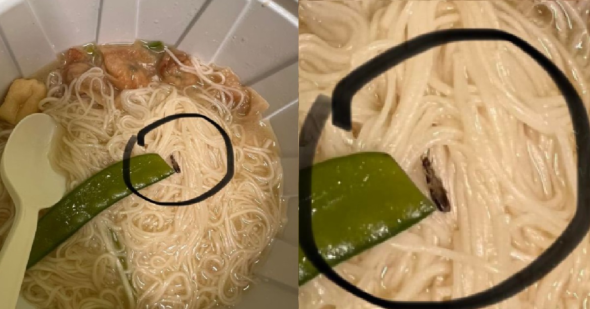 DEAD INSECT ALLEGEDLY FOUND INSIDE FOOD, FREE EXTRA PROTEIN
