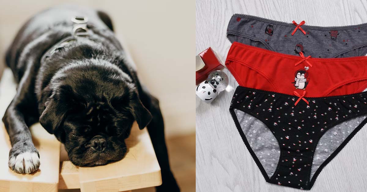 MAN SNORES, GF PUTS HER PANTIES IN. DREAMS THAT HE EATING CHOCOLATE