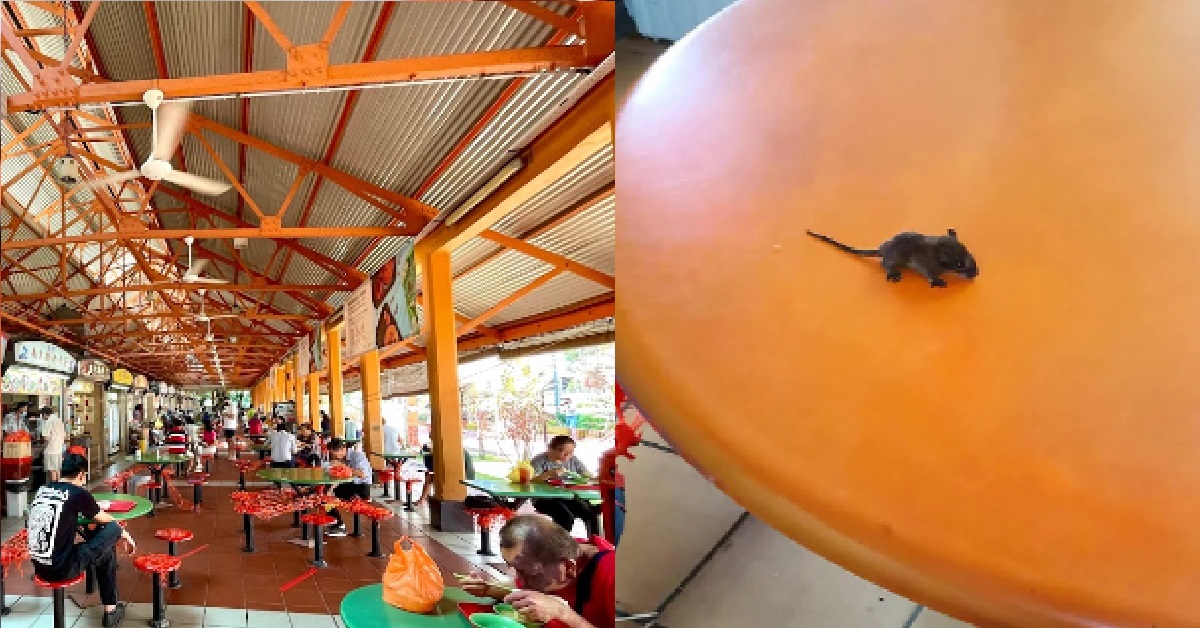 MICE FALL FROM CEILING AND ONTO DINERS’ TABLES @ MAXWELL FOOD CENTRE