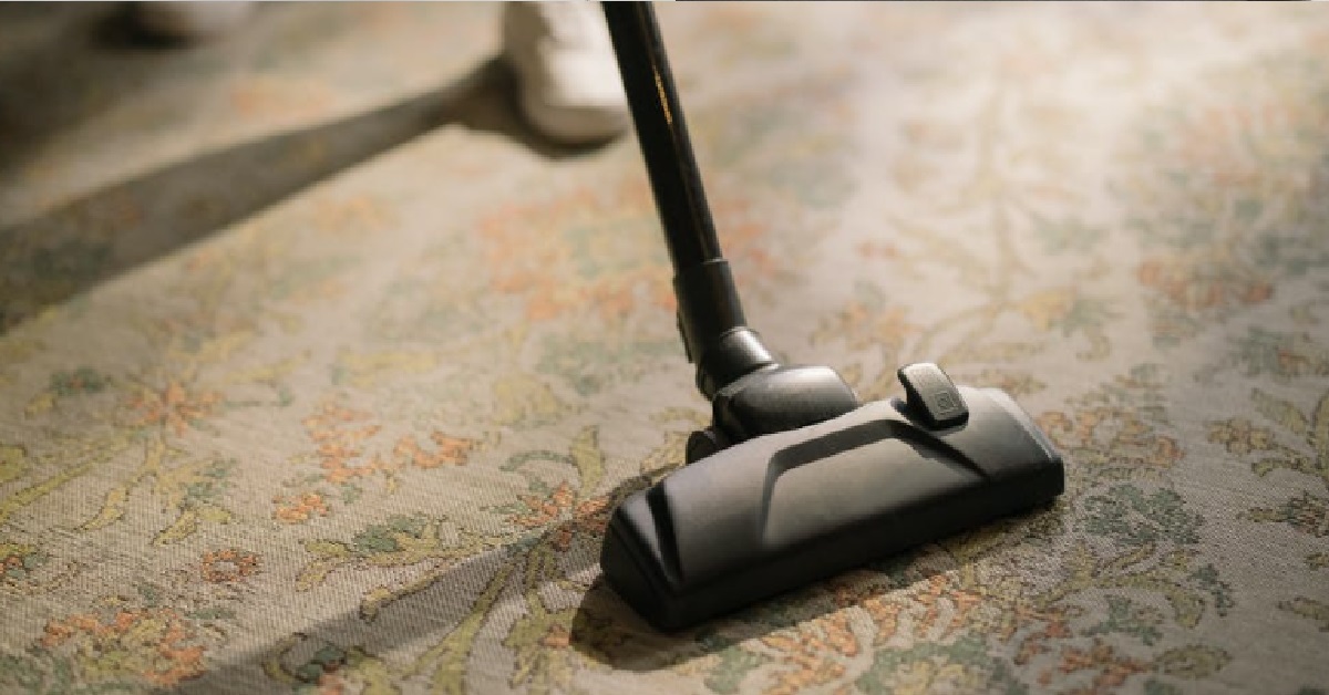 DESPERATE GUY PUT HIS KUKUBIRD INSIDE VACUUM CLEANER