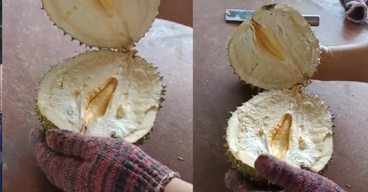 MAN BOUGHT $37 DURIAN, OPENS IT UP & FINDS NOTHING INSIDE, KOSONG