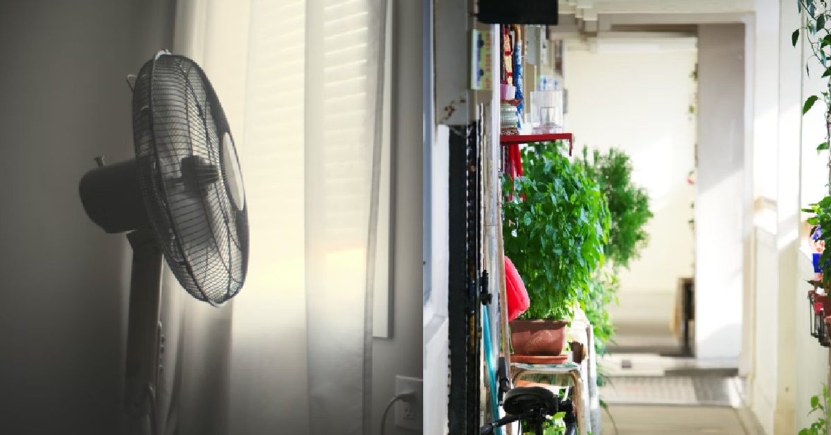 MAN NOT HAPPY WITH NEIGHBOUR SITTING AT WINDOW – “FAN WILL BLOW GERMS TO OTHERS”