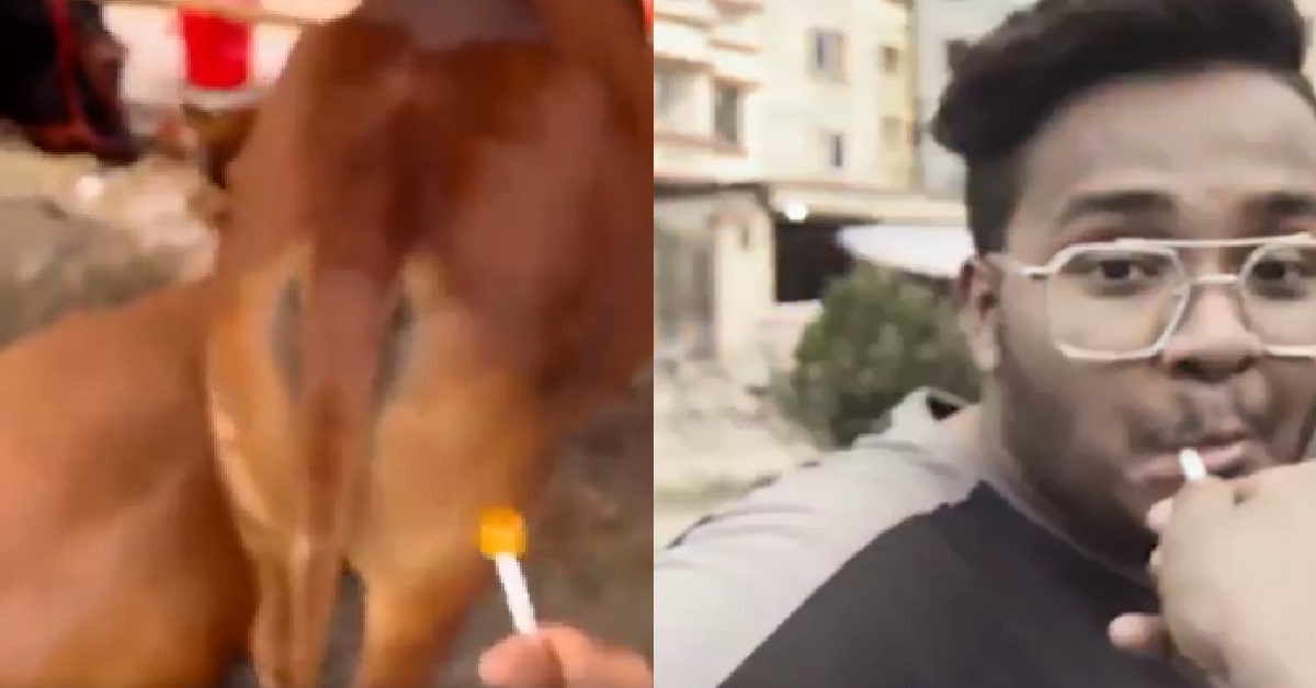 GUY PUT LOLLIPOP INSIDE HORSE BACKSIDE THEN PUT IN FRIEND’S MOUTH