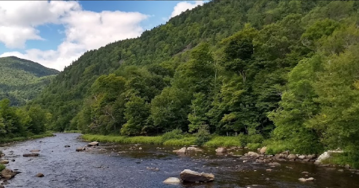 S’PORE MAN WENT MISSING FOR 3 DAYS IN NEW YORK FOREST, RESCUED