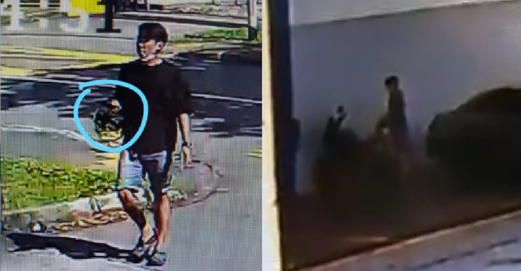 MOTORCYCLIST’S HELMET STOLEN, THIEF CAUGHT RED HANDED ON CCTV