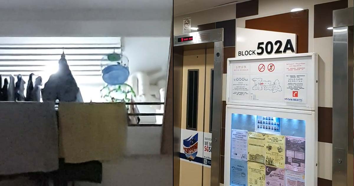 YISHUN RESIDENT'S PET BIRD DISRUPTING SLEEP, CHIRPING ALL NIGHT