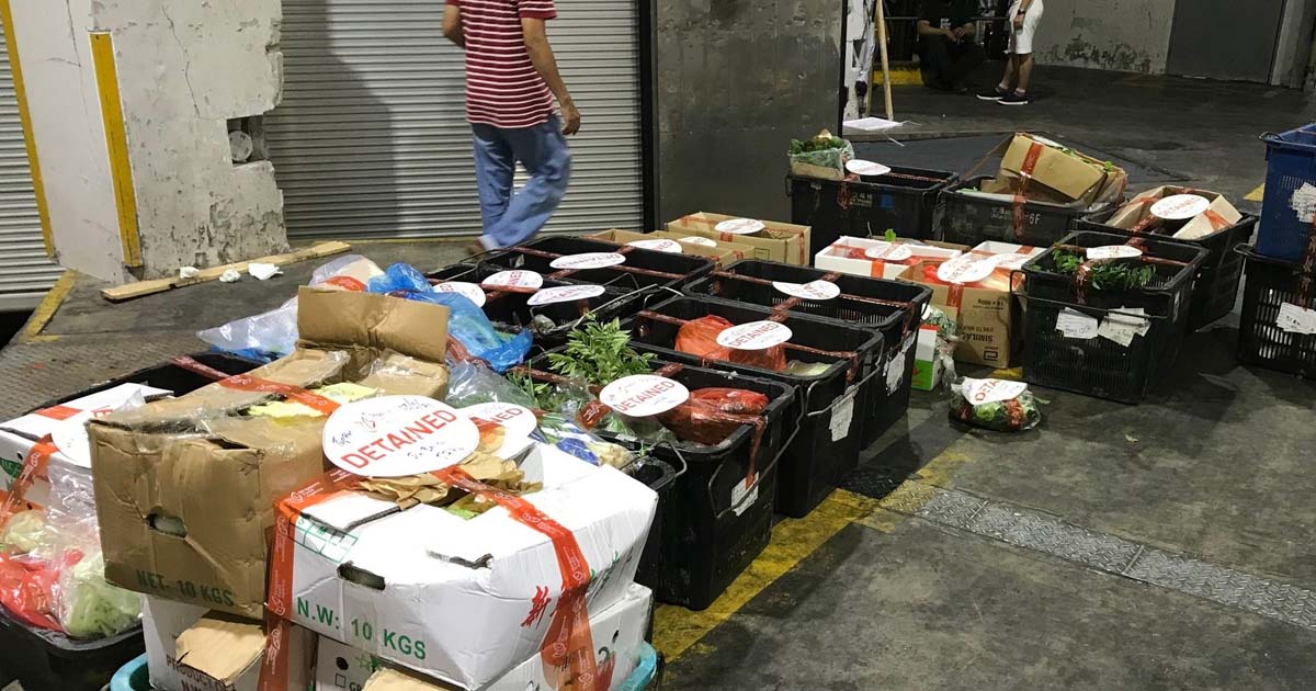 COMPANY FINED $5,000 FOR ILLEGALLY IMPORTING 250 KG OF VEGETABLES