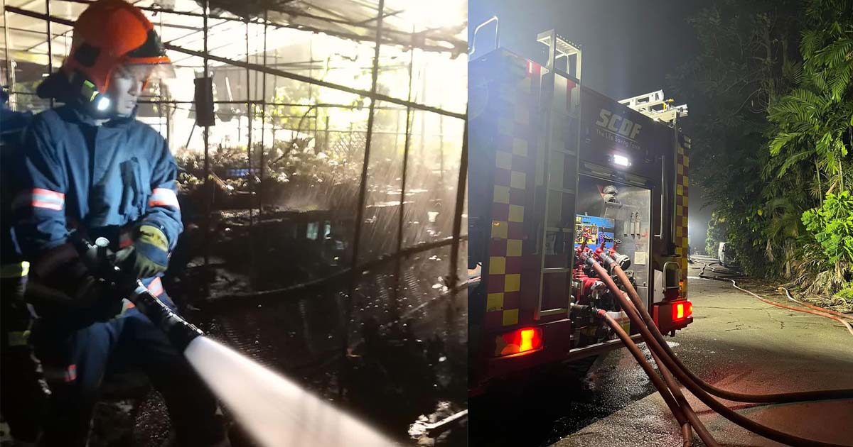 CAGED BIRDS FOUND DEAD AFTER FIRE IN CHOA CHU KANG