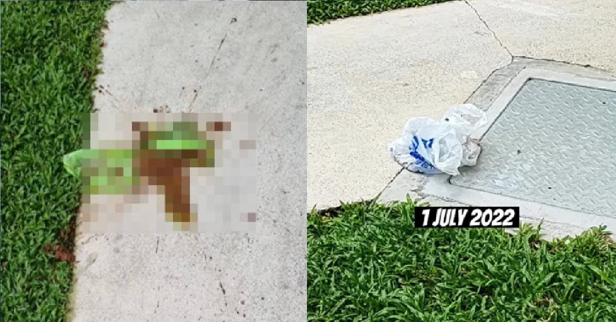 SIAO LANG RESIDENT @ SENGKANG HAS BEEN THROWING POOP DOWN HDB BLOCK