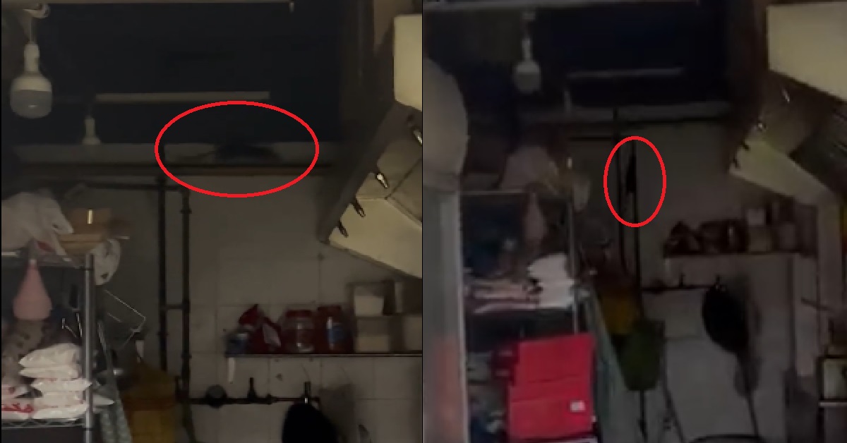 RATS SEEN RUNNING UP AND DOWN @ BOON LAY MOOKATA, CUSTOMER HORRIFIED