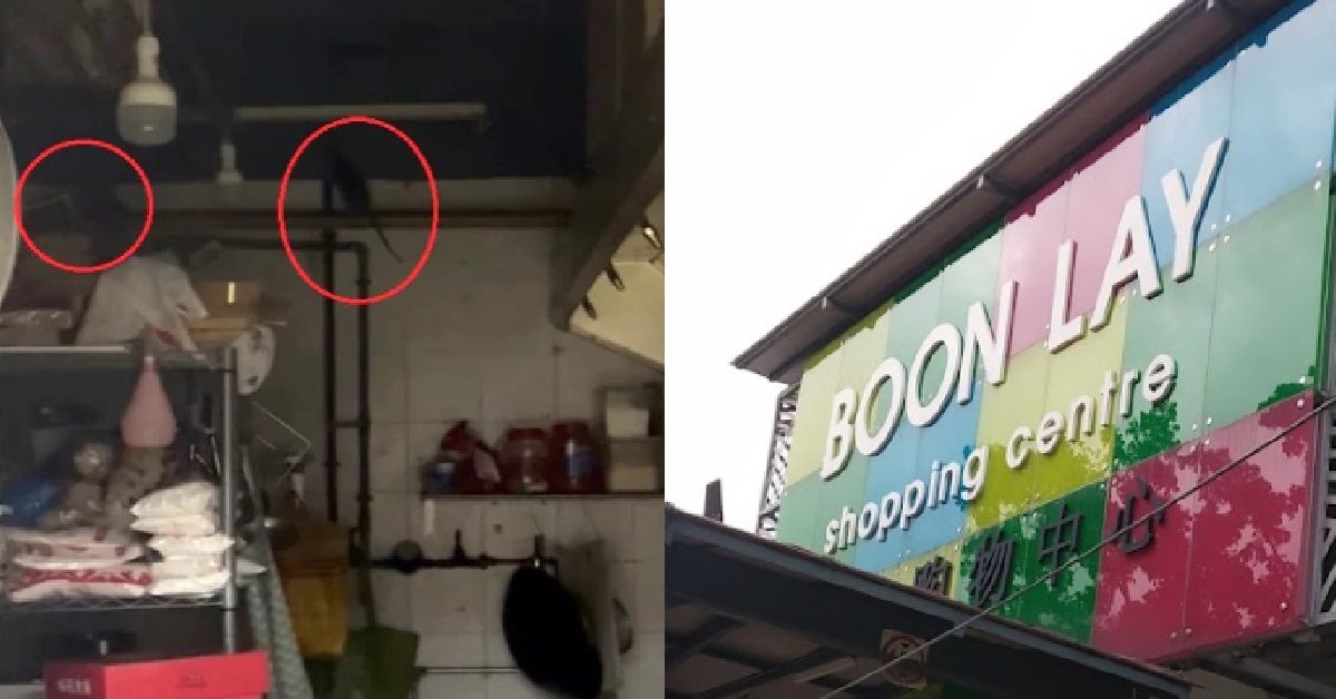 MOOKATA STALL SAYS RATS MIGHT BE FROM OTHER SHOPS, “COFFEESHOP ISSUE”