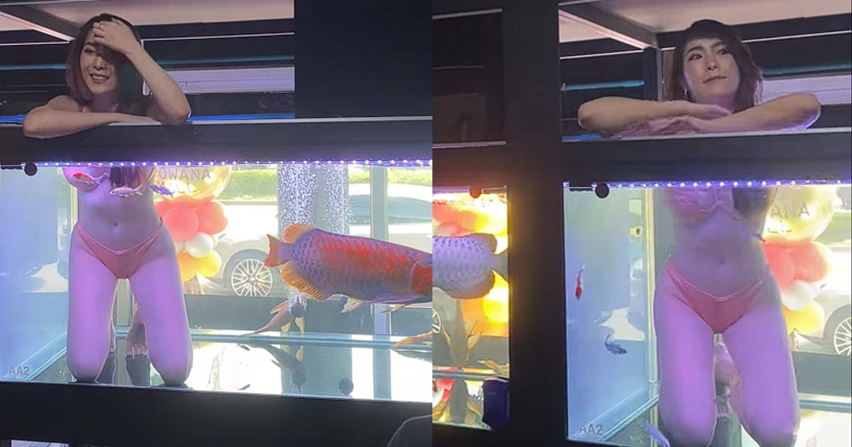BANGKOK CHATUCHAK FISH MARKET PUT BIKINI GIRLS IN FISH TANK