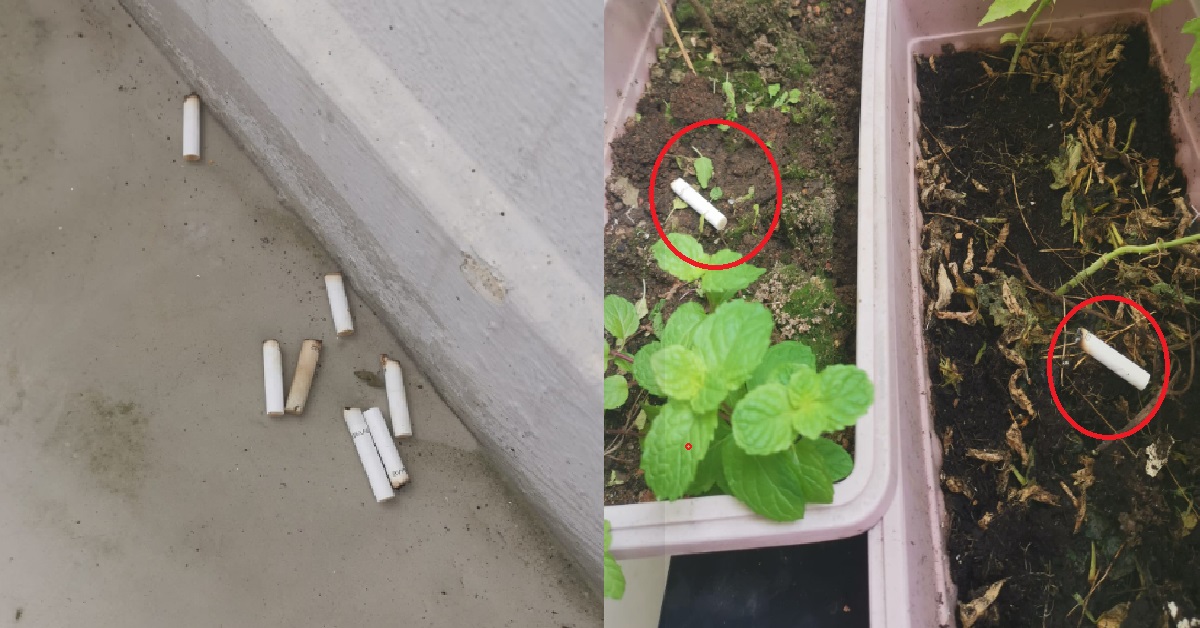 SMOKERS THROWING CIGARETTE BUTTS INTO RESIDENT’S POTTED PLANTS