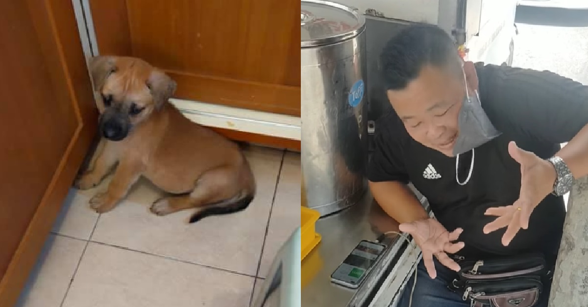 MAN ATE DOG THAT WAS GIVEN TO HIM FOR ADOPTION: “WHAT I DO WITH THE DOG IS MY BUSINESS”