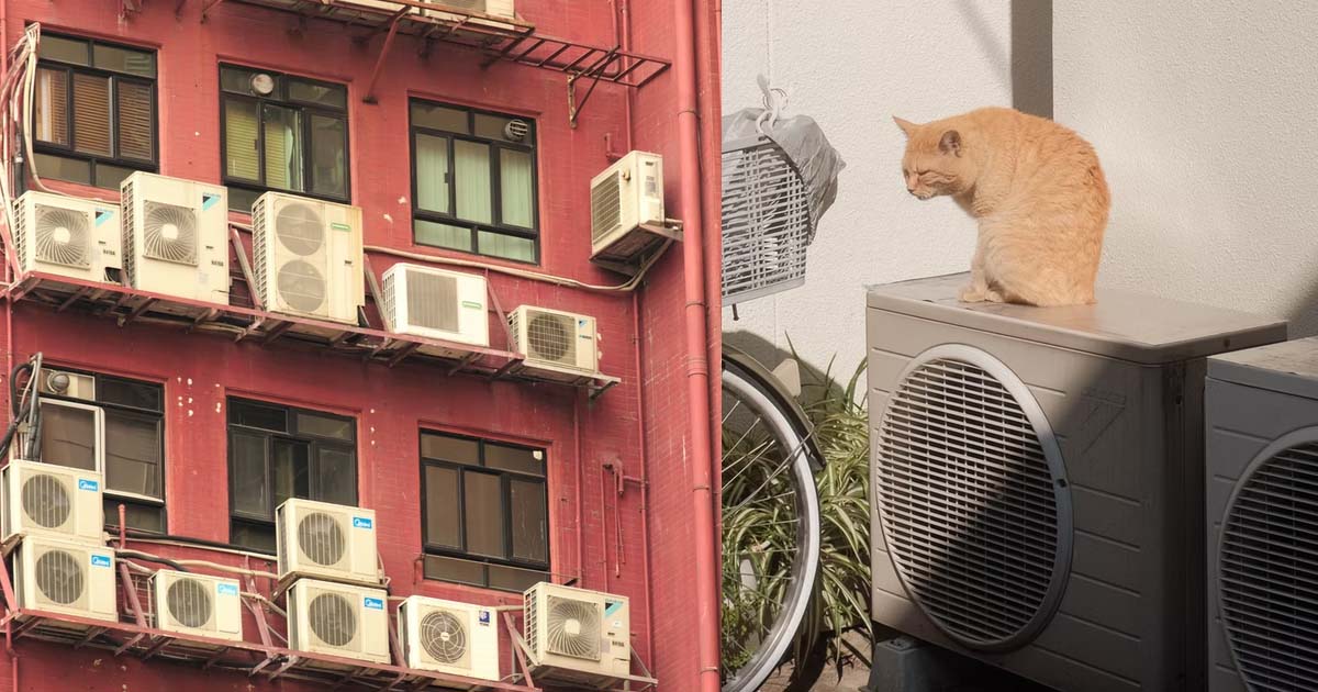BF CALLS GF MATERIALISTIC CAUSE SHE WANTS TO INSTALL AIR CON FOR NEW BTO