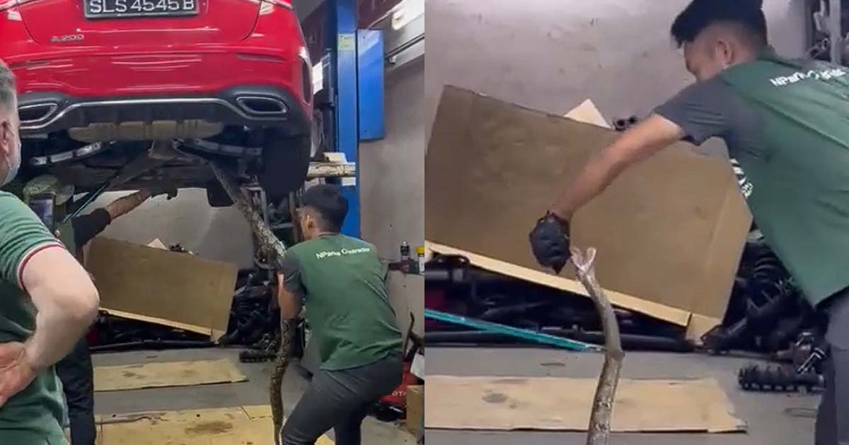 MAN KENA BITE WHILE REMOVING SNAKE THAT WAS HIDING IN A MERCEDES