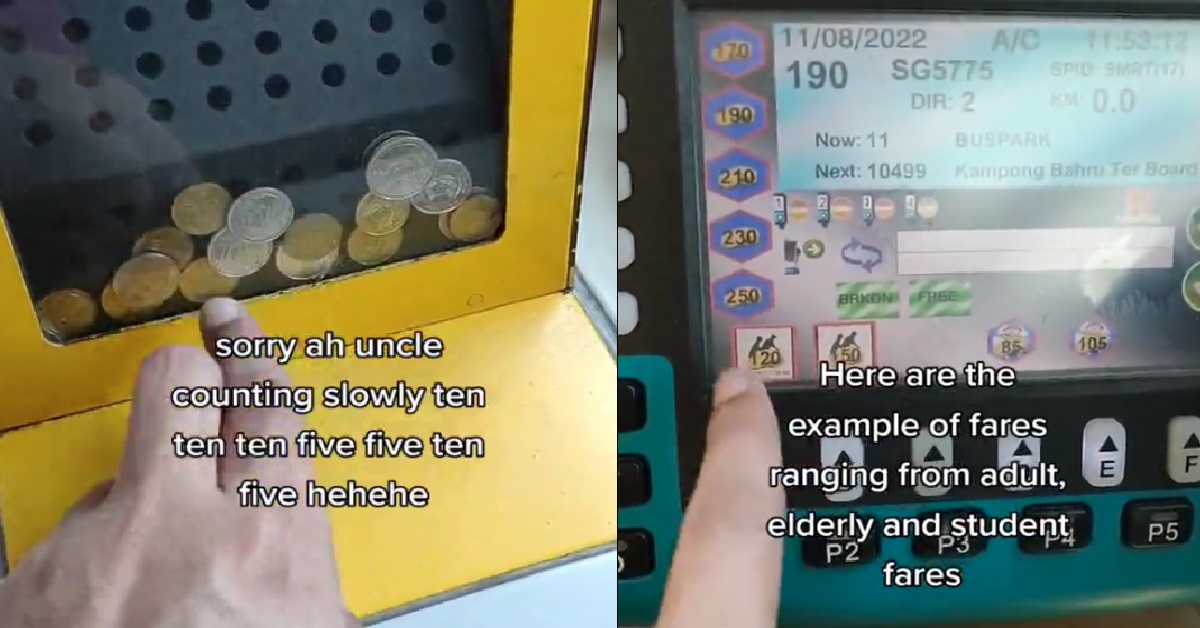 BUS CAPTAIN REVEALS HOW COIN BOX ACTUALLY WORKS, HAVE TO SLOWLY COUNT COINNS