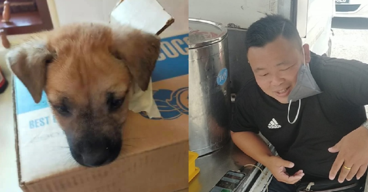 MAN WHO ALLEGEDLY ATE DOG THAT WAS GIVEN TO HIM FOR ADOPTION, SAYS IT WAS A “JOKE”