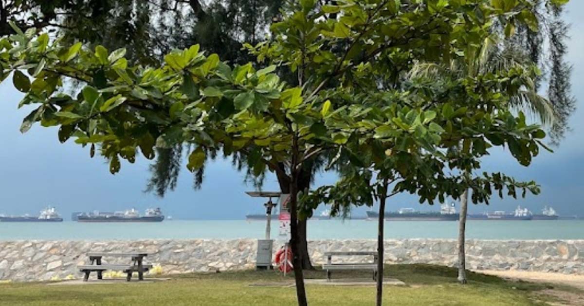 54 Y.O MAN CHARGED AFTER STEALING CAR FROM EAST COAST PARK
