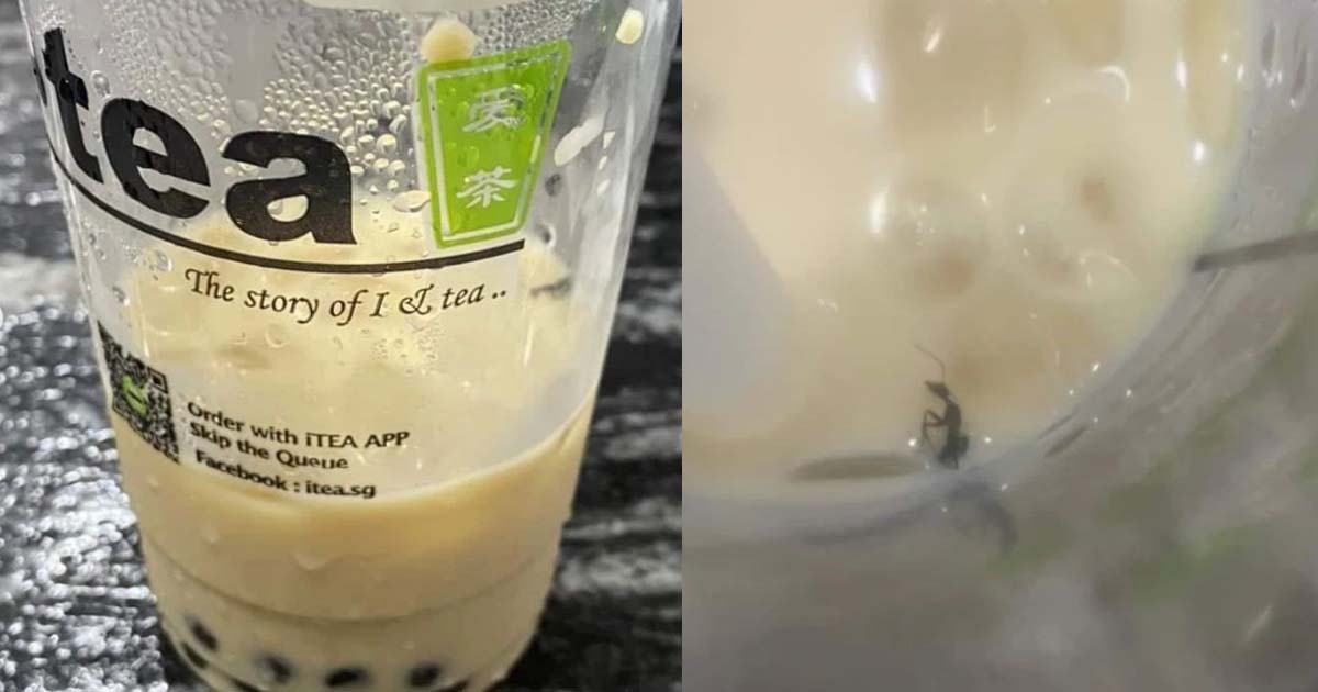 MAN ORDERS iTEA FROM HOUGANG 1 KENA EXTRA ‘PROTEIN’ IN HIS DRINK