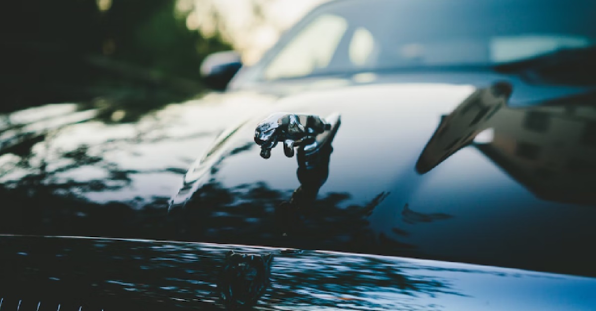 INSURANCE AGENT RENTS BRANDED CARS TO IMPRESS CLIENTS, WANTS TO PROVE HE’S “RICH”