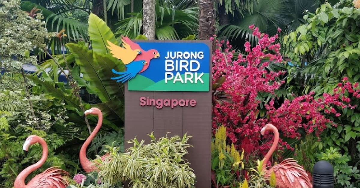 JURONG BIRD PARK CLOSING AFTER 3 JAN 2023, CEASING OPERATIONS AFTER 52 YEARS