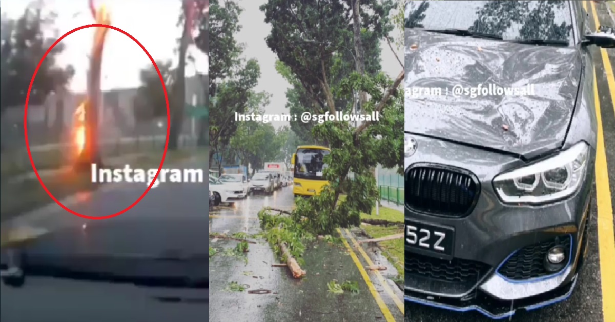 TREE STRUCK BY LIGHTNING AND EXPLODED, THEN FALLS AND HITS CAR PASSING BY