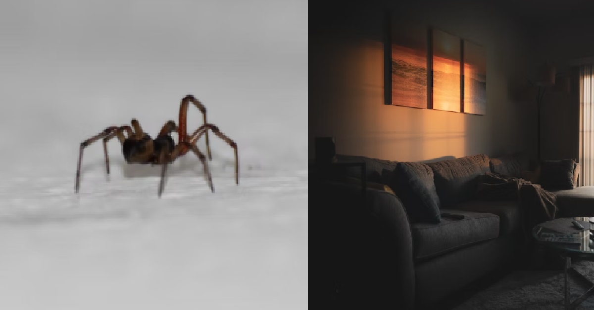 S’PORE GIRL DATING FOREIGNER, WHO LETS SPIDERS ROAM AROUND HIS HOME TO KILL INSECTS