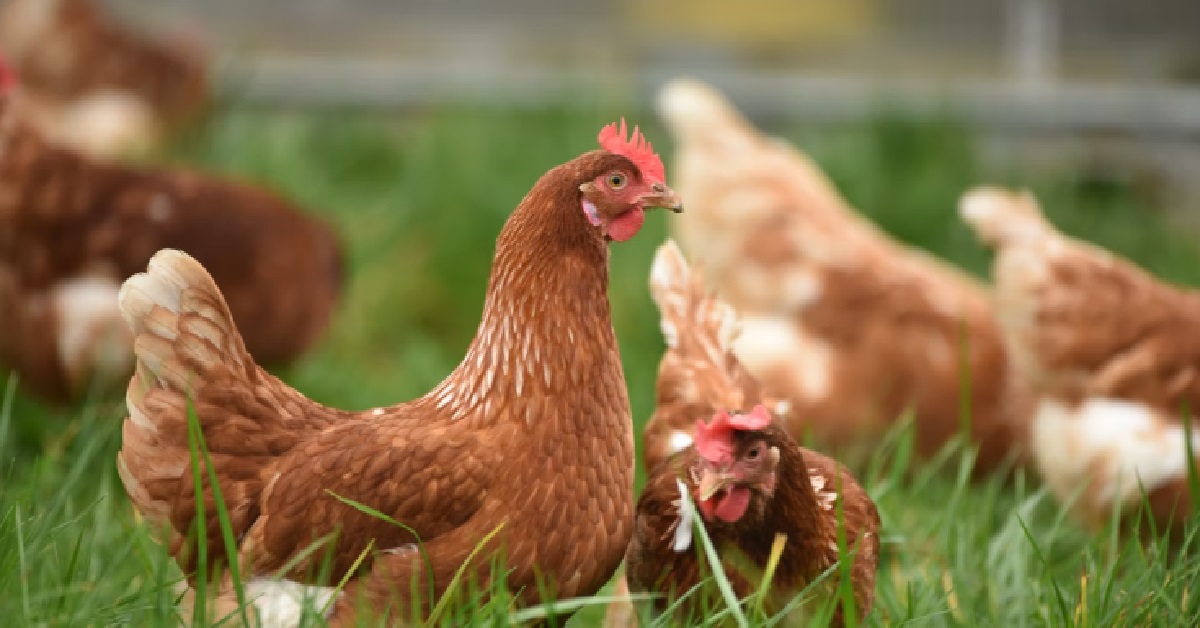 GF EARN $3K A MONTH KPKB SAY BF WHO EARNS $15K A MONTH IS TOO POOR