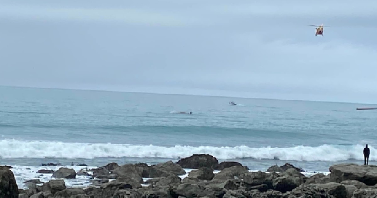 5 PEOPLE DEAD AFTER BOAT COLLIDED WITH A WHALE AND CAPSIZED, 6 OTHERS RESCUED