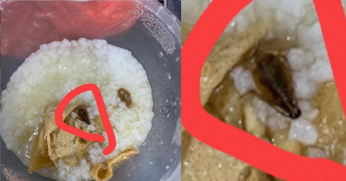 WOMAN FINDS DEAD COCKROACH INSIDE HER PORRIDGE AFTER EATING IT HALFWAY
