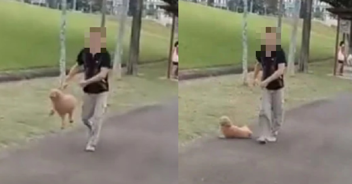 MAN DROPS HIS DOG ONTO GROUND WHILE CONFRONTING STRANGER WHO TOLD HIM TO LEASH PET