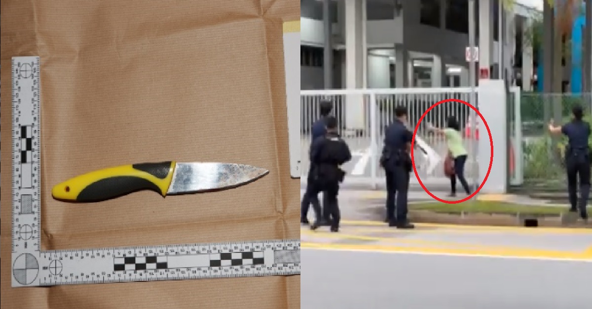 WOMAN WHO STABBED HERSELF WHILE ON DRUGS DURING POLICE STAND-OFF, JAILED 6 MONTHS