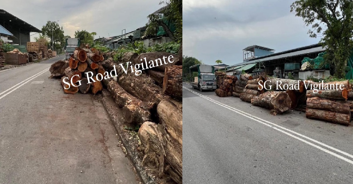 COMPANY TREAT ROAD AS OWN WAREHOUSE, KEEPS CHOPPED TREE TRUNKS ON ROADSIDE