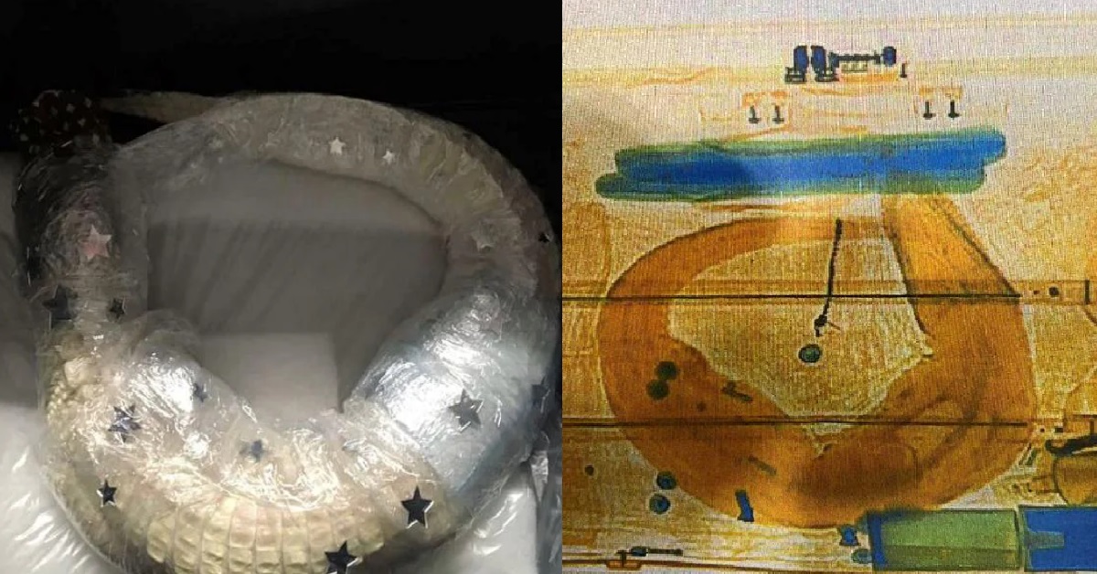 MAN CAUGHT WITH ALLIGATOR IN LUGGAGE @ MUNICH AIRPORT, BEFORE S’PORE-BOUND FLIGHT