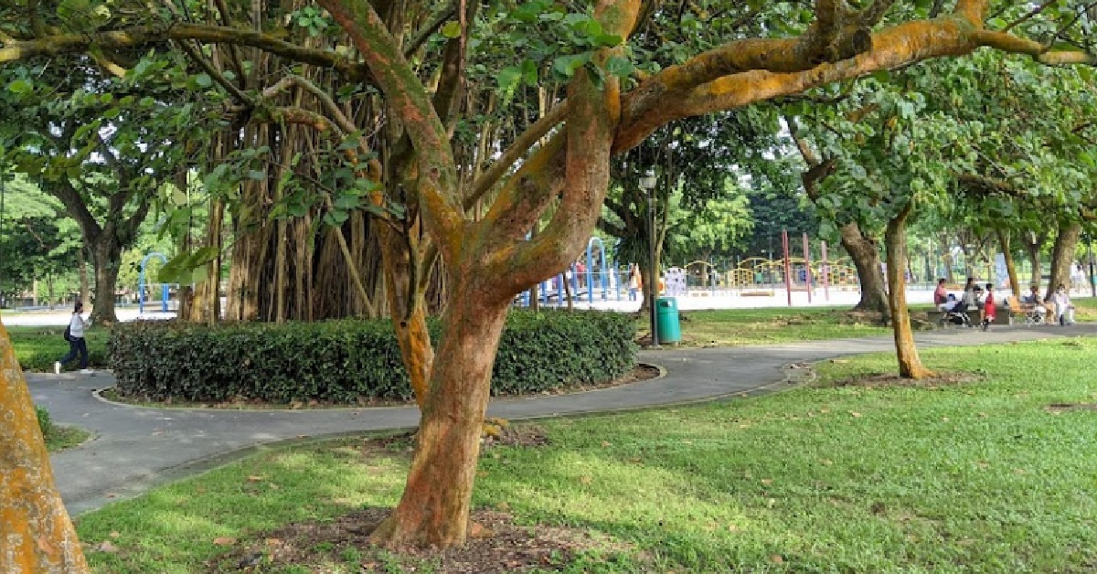 MAN WITH ELDERLY MUM & DISABLED GRAND-DAD GOT SHOUTED AT BY RANDOM STRANGER