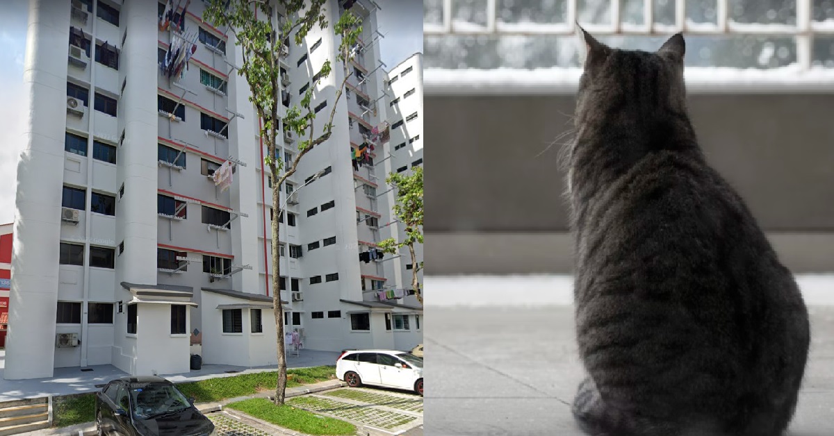 58 Y.O MAN MADE SON ABANDON PET CAT AT VOID DECK BEFORE MOVING TO NEW HOME, FINED