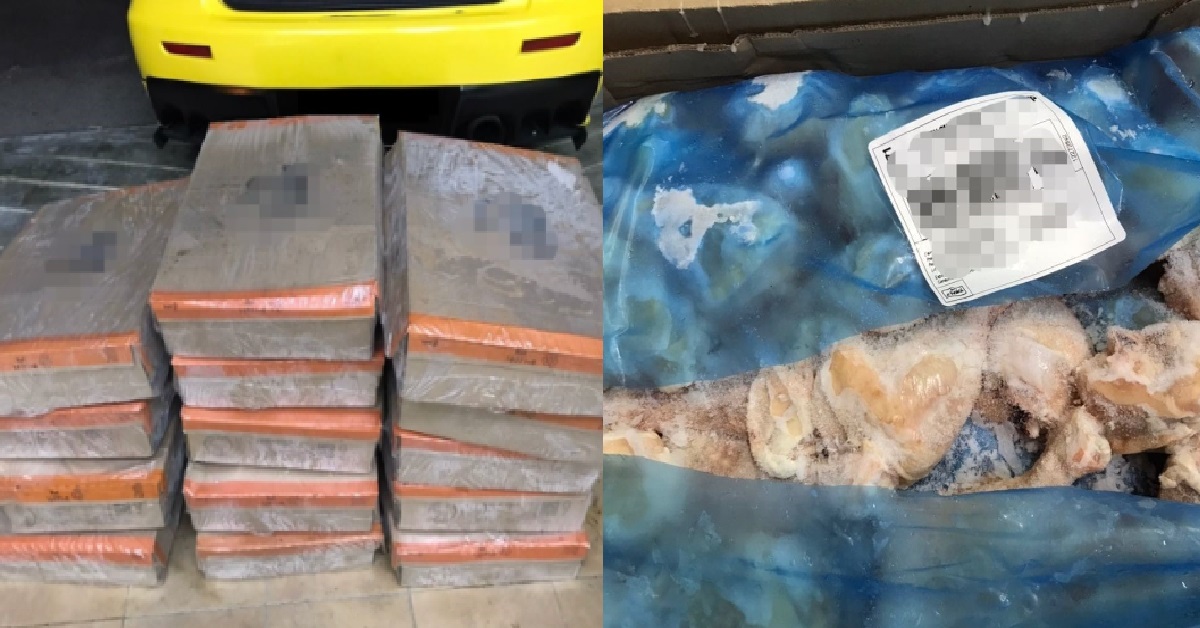 MAN ALLEGEDLY TRIED TO SMUGGLE 210KG OF FROZEN CHICKENS FROM S’PORE TO JB