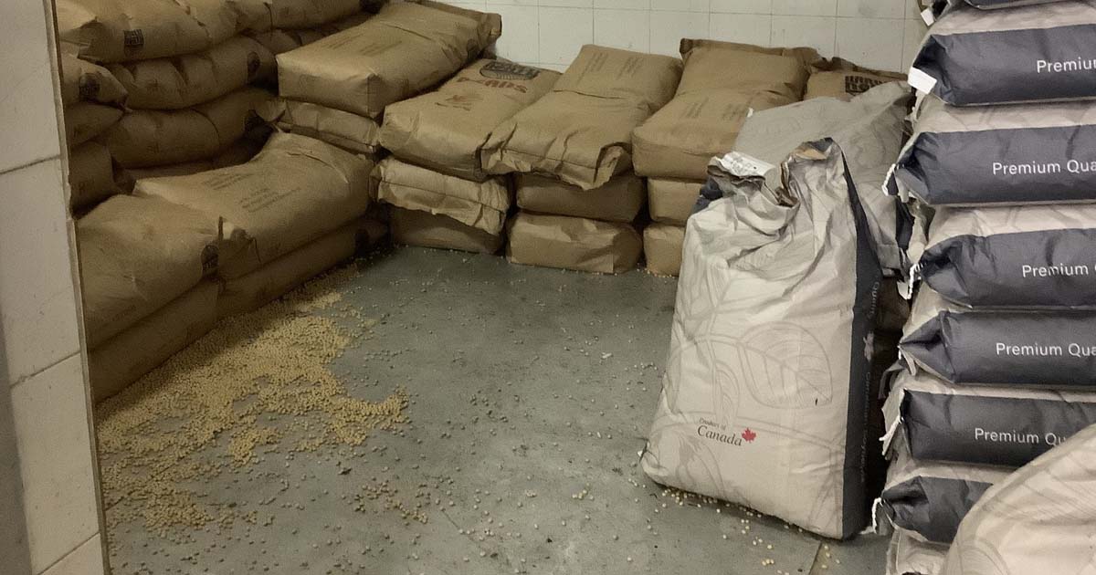 BEANCURD COMPANY FINED $4.2K FOR COCKROACH INFESTATION