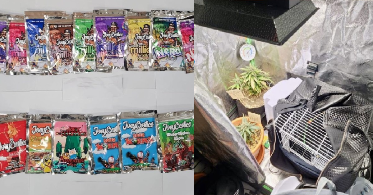 117 DRUG SUSPECTS ARRESTED IN RAIDS, CANDY WITH SUSPECTED DRUGS INSIDE ALSO SEIZED