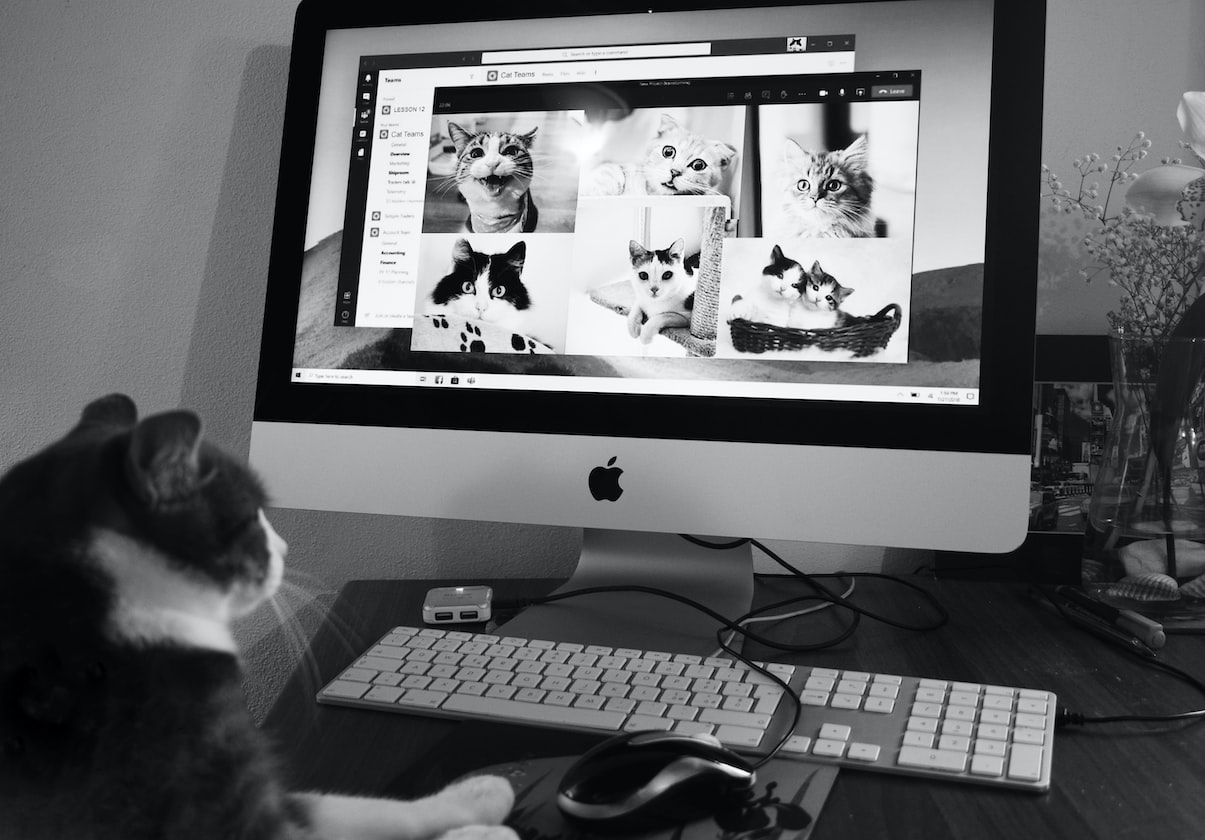 WOMAN SAID IT’S HARD TO DATE WITHOUT GETTING CAT CALL AT NIGHT & HARASSED