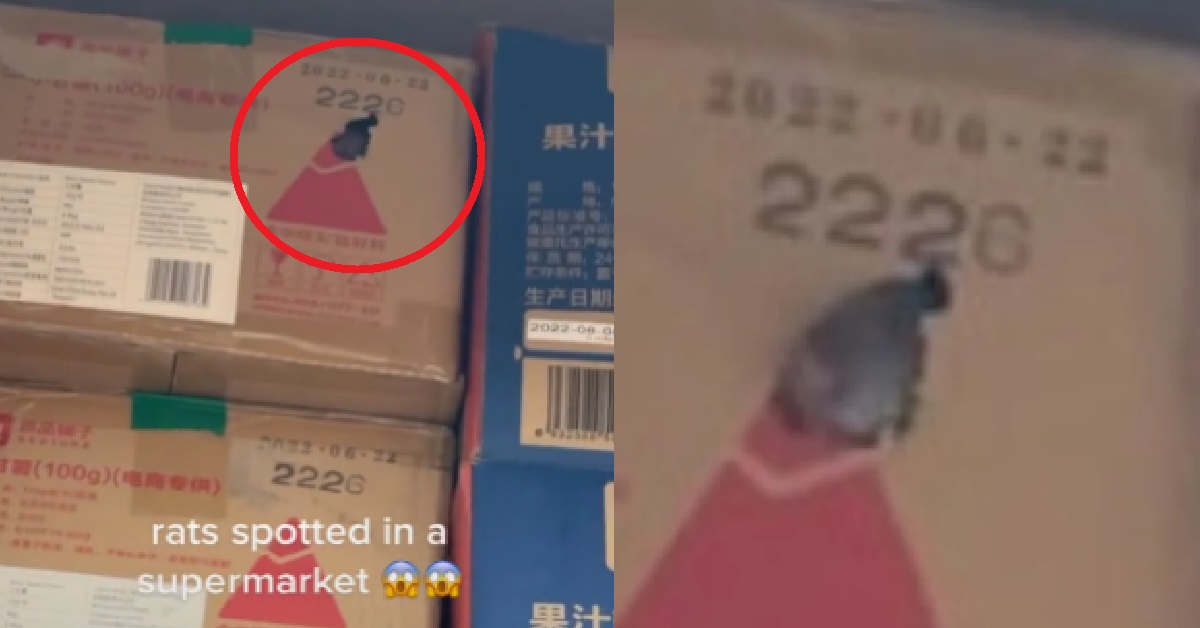 CHINATOWN SUPERMARKET APOLOGISES AFTER RAT SPOTTED INSIDE THEIR PRODUCT BOXES