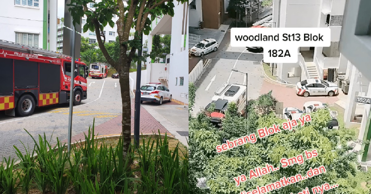 33 Y.O ARRESTED AFTER LOCKING HIMSELF, WIFE & BABY INSIDE WOODLANDS FLAT FOR 3 HRS