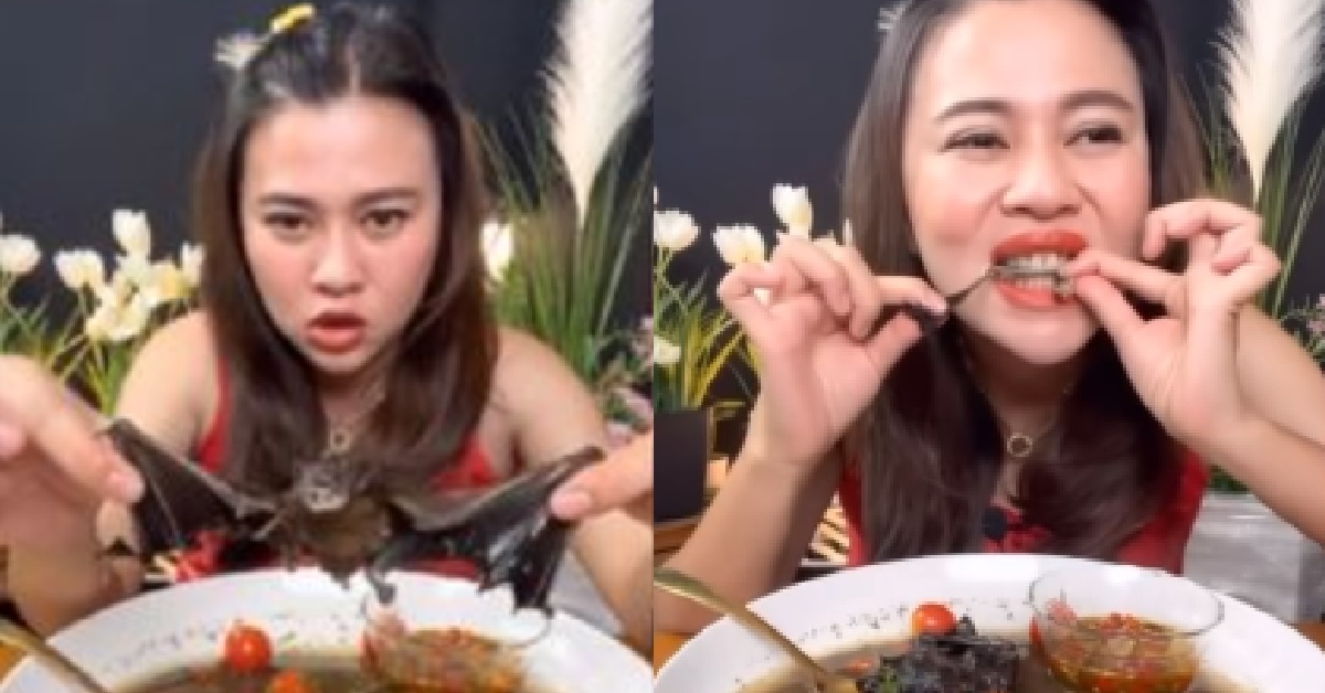 SIAMBU EATS BAT ON LIVESTREAM, ARRESTED FOR VIOLATING ANIMAL CONSERVATION LAW