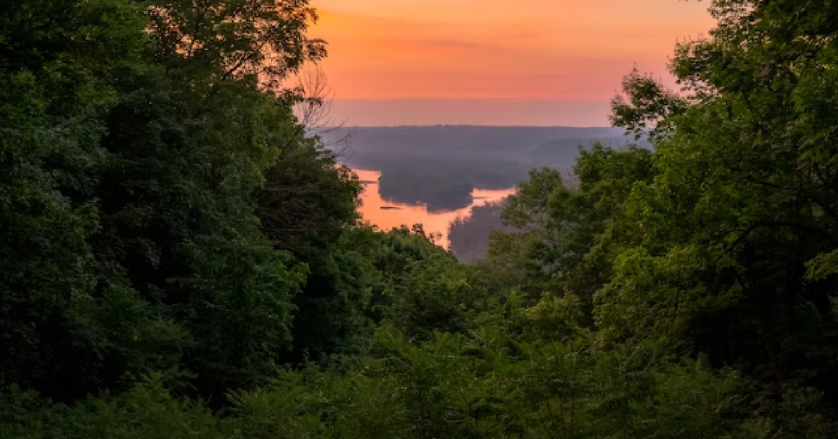 WOMAN STRESSED BECAUSE SHE GOT WAXED DOWNSTAIRS & HER FOREST NEVER GROW BACK