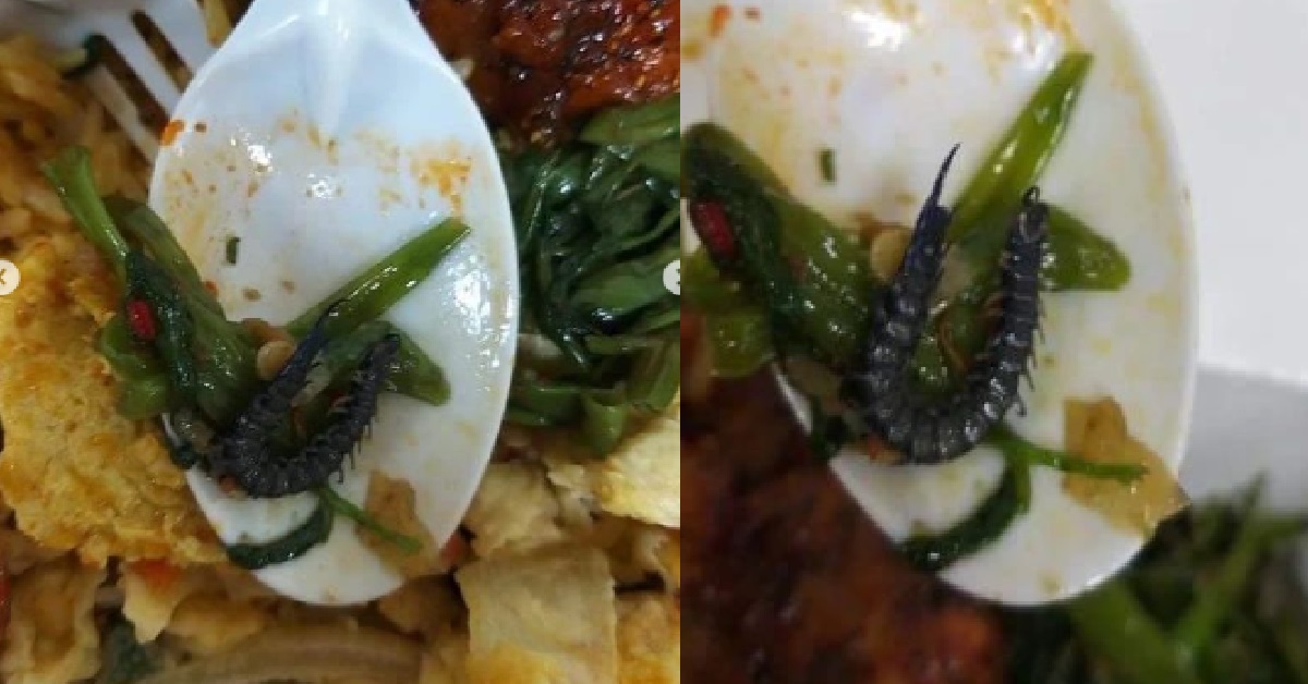 NETIZEN FOUND A CENTIPEDE INSIDE HIS FOOD THAT HE BOUGHT FROM VIVOCITY KOPITIAM