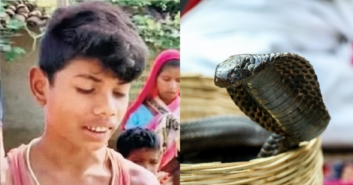 TASTE OF YOUR OWN MEDICINE – BOY IN INDIA BIT COBRA TWICE, SNAKE DIES