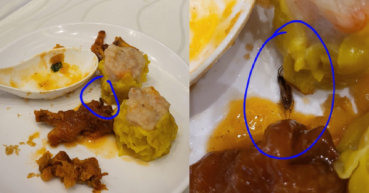WOMAN FOUND COCKROACH INSIDE HER DIMSUM, RESTAURANT OWNER SAYS “NOT US”